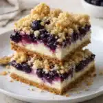blueberry crumble cheesecake bars 2026 03 28 002639 1
