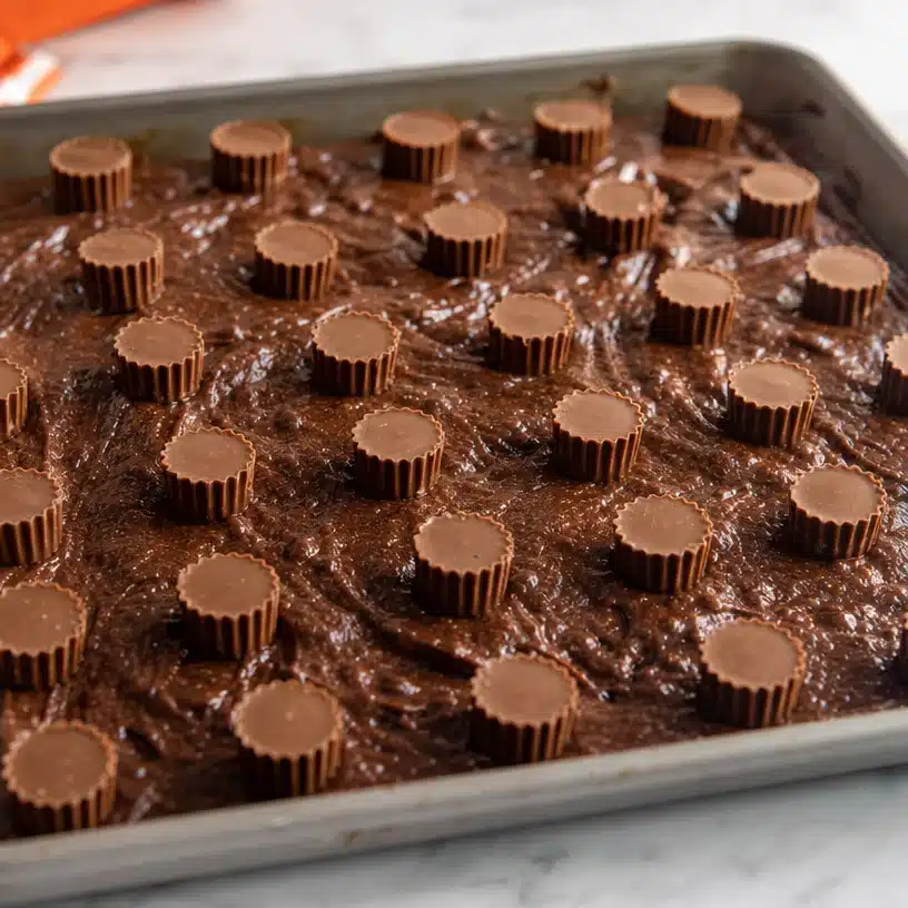 Delicious Peanut Butter Cup Brownie Bites Recipe