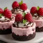 Delightful Mini Raspberry Mousse Cakes for Any Occasion 3 delightful mini raspberry mousse cakes for any occ 2026 10 14 110657 1